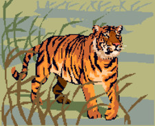 Techno Tigers