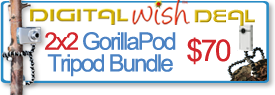 GorillaPod_DWD