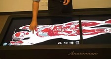 TJCA Anatomy Table