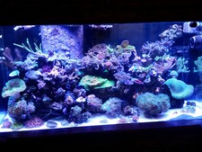 Raider Aquarium Equipment