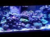 Raider Aquarium Equipment