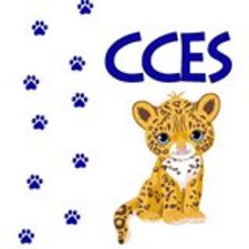 ipads for baby cougars