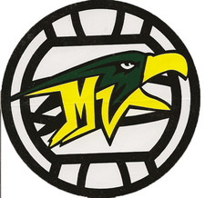 Support MVHS Journalism