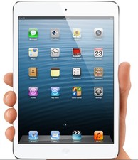 iPad Mini Initiative